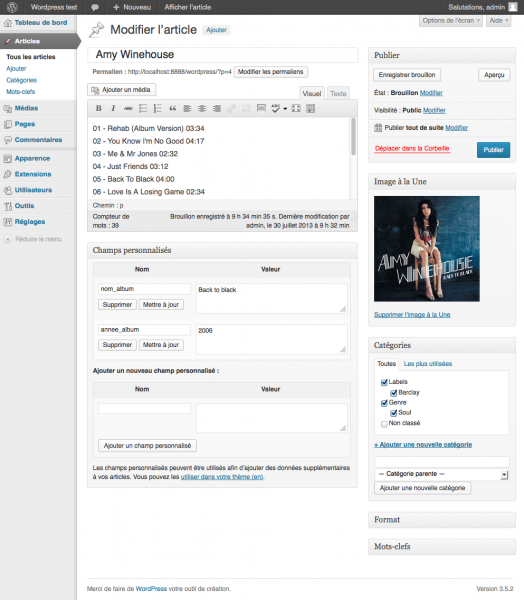 wordpress custom fields